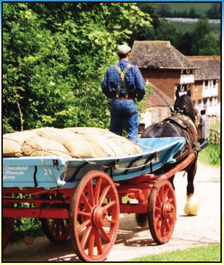 Weald & Downland Open Air Museum